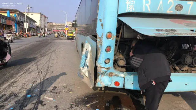 800BUS