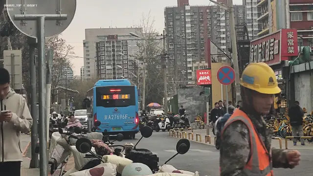 800BUS