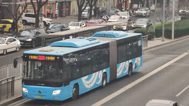 京A·22308F
