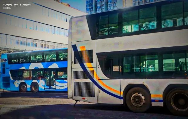 800BUS