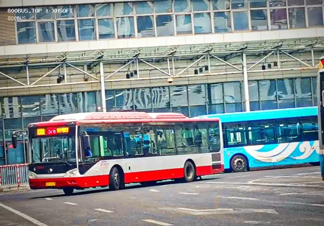 800BUS