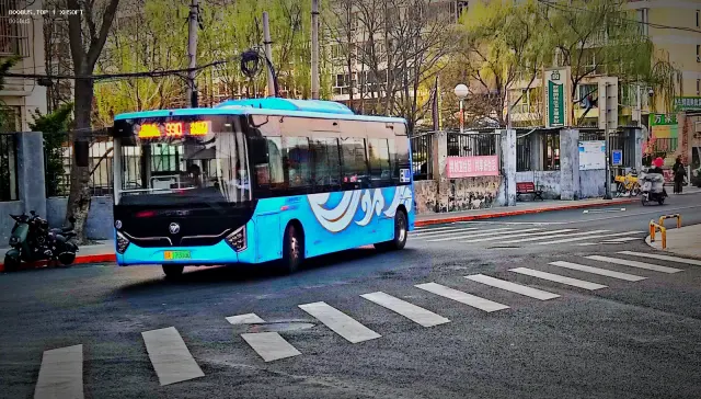 800BUS