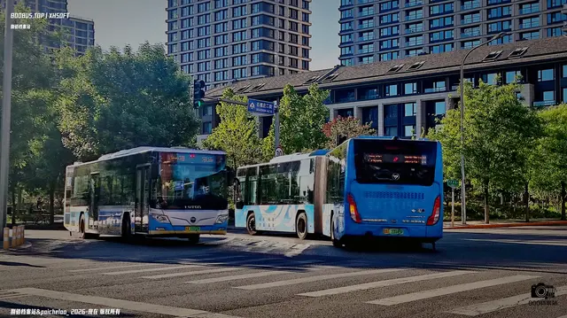 京A 23153F&京A 13145F