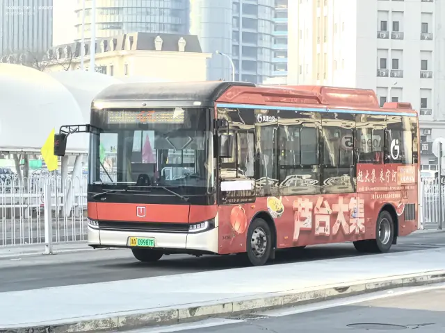 800BUS