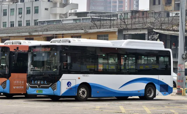 闽C05555D