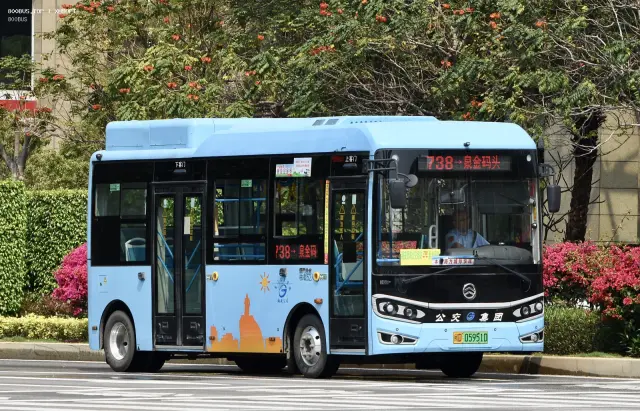 800BUS