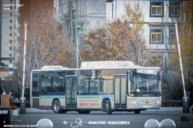 藏A 01998F