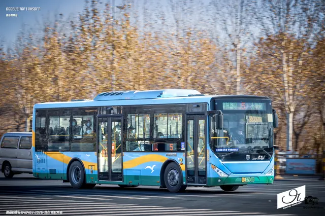 鲁E 07958D