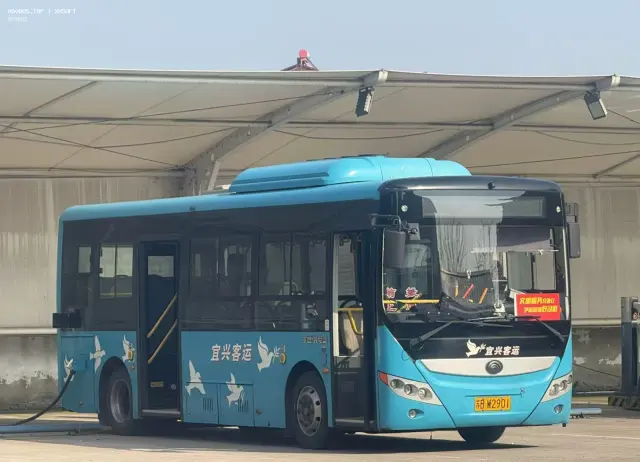 苏B W2901