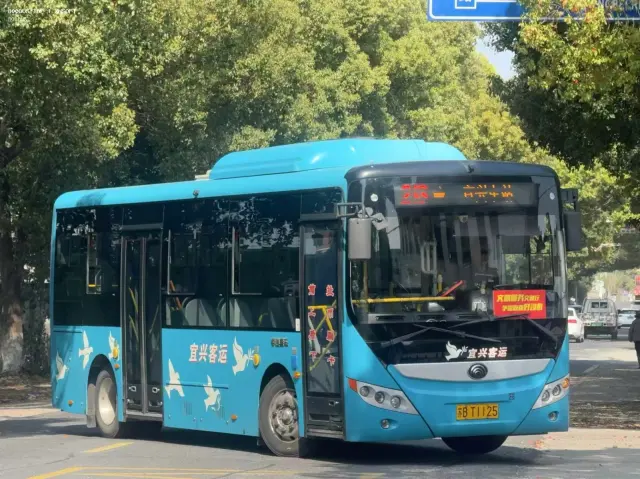 苏B T1125