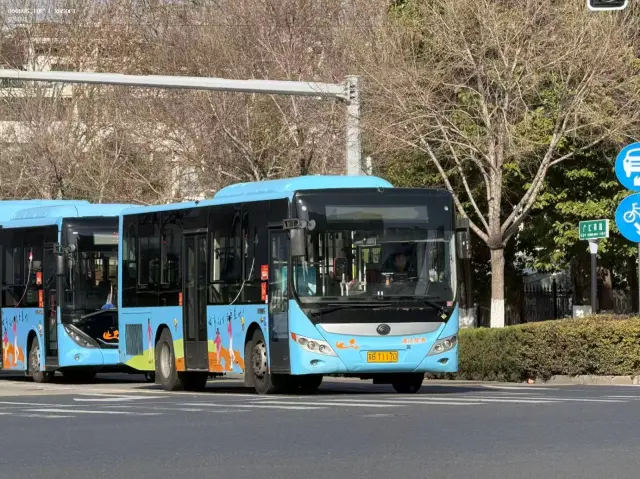 苏B T1170