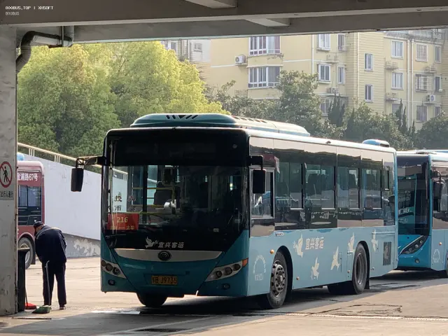 800BUS