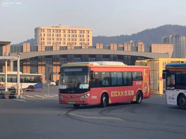 浙E 06605D