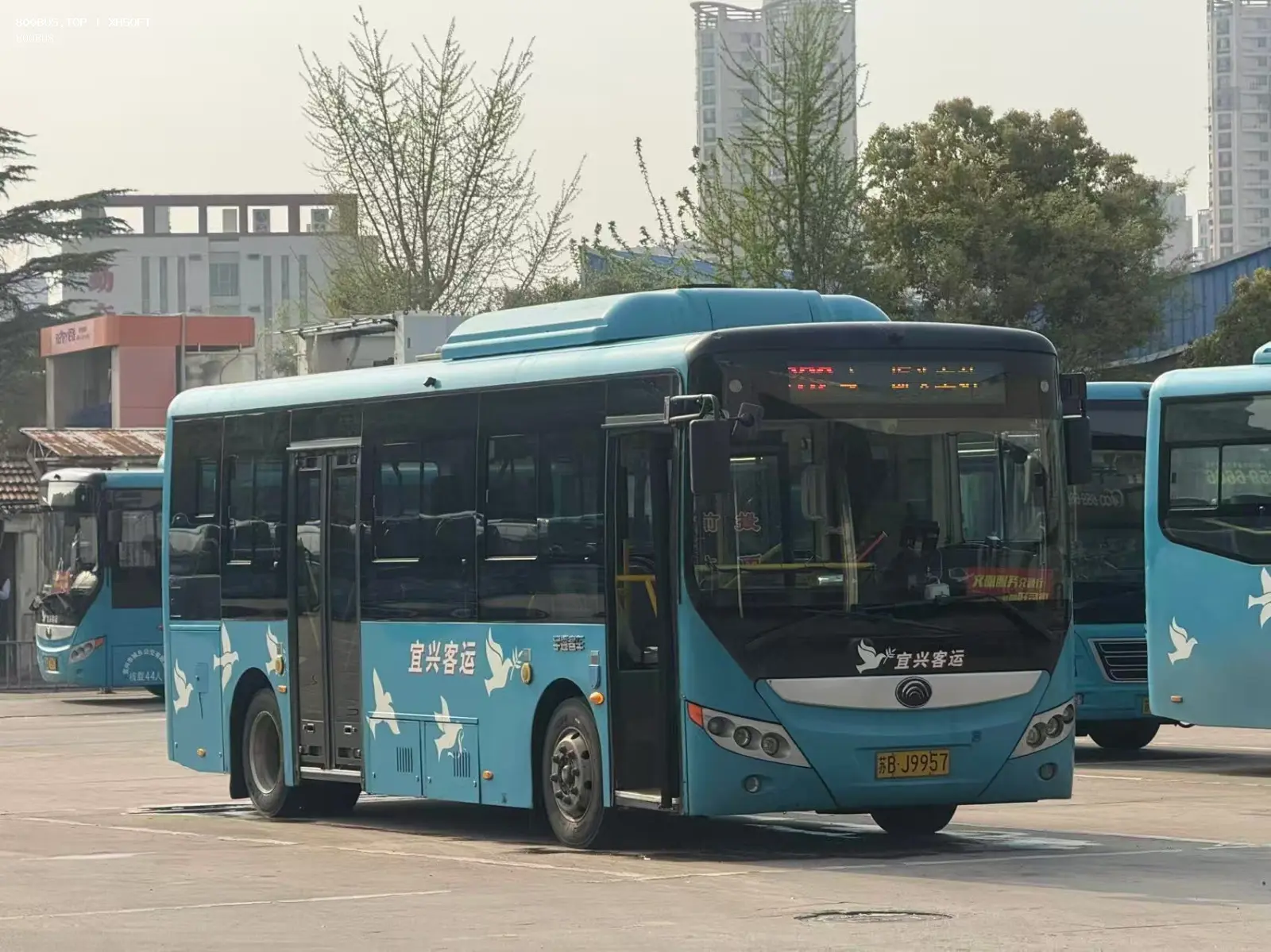 Bus Archive