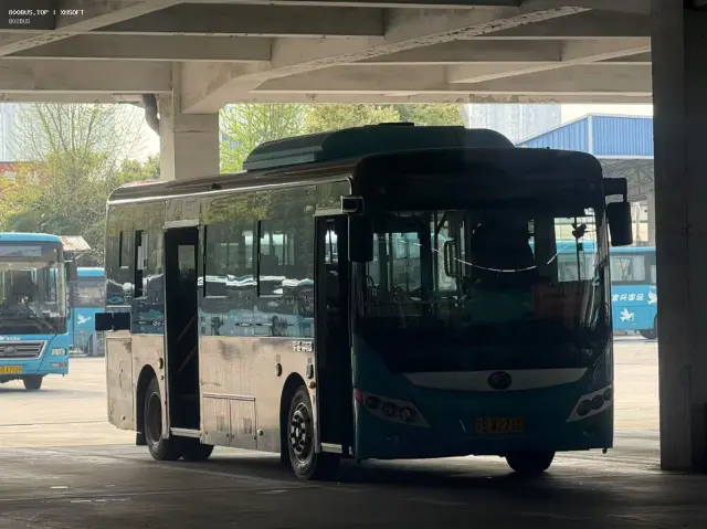 800BUS