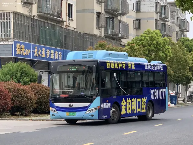 800BUS