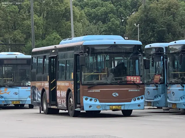 800BUS