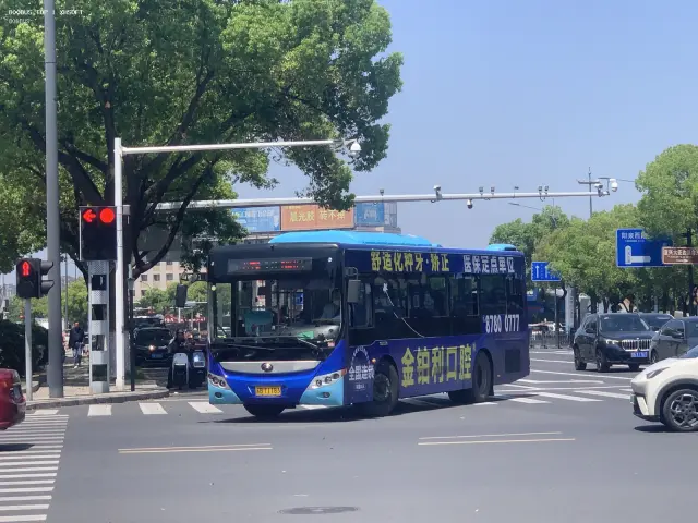 800BUS