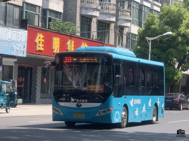 800BUS