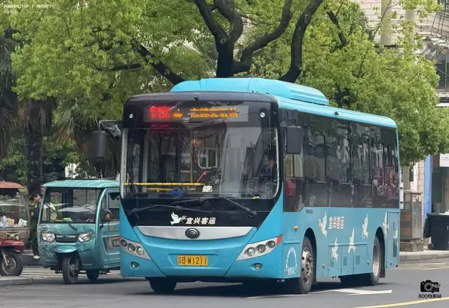 800BUS