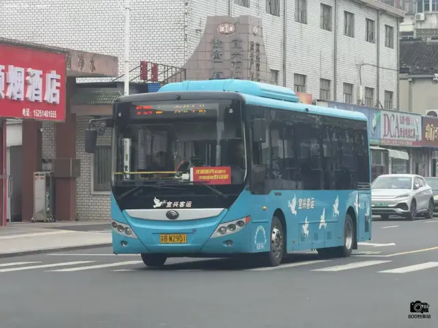 800BUS