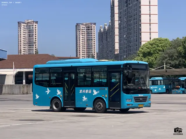 800BUS