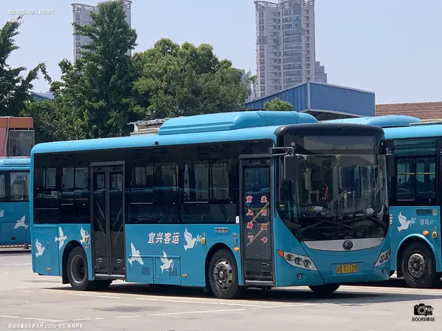 苏B T1129