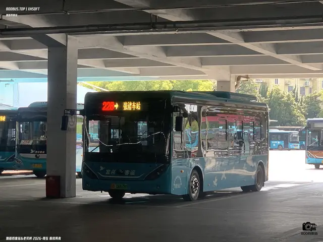 苏B 06678D