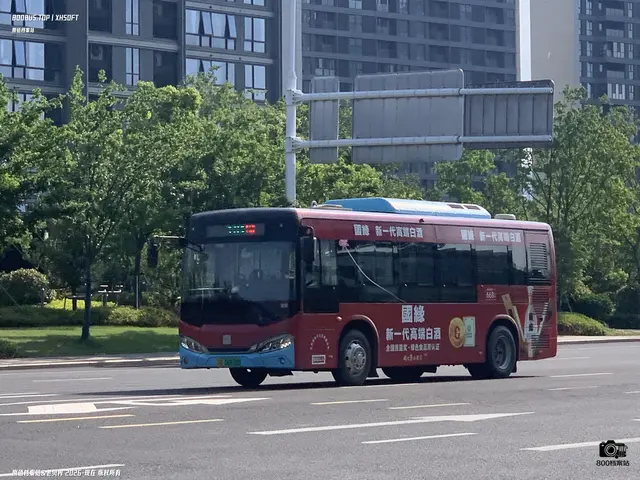 苏B 06838D