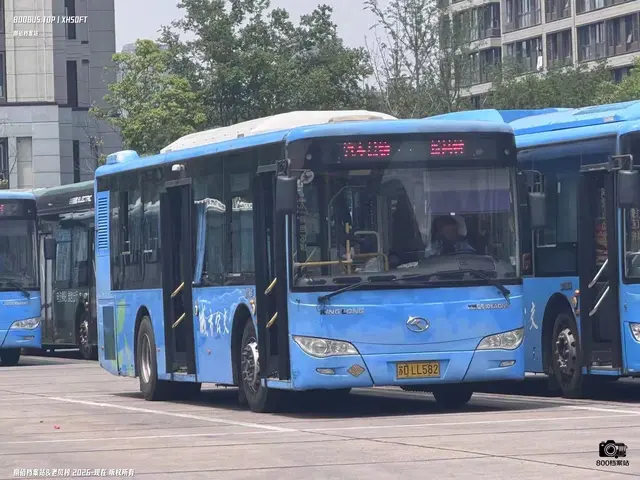 苏D LL582