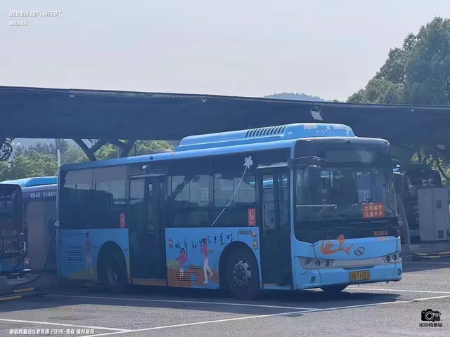 苏B T1697