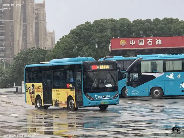 苏B 05808D