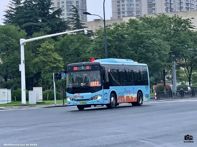 苏B 06838D