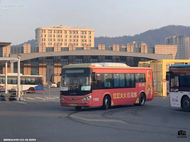 浙E 06605D