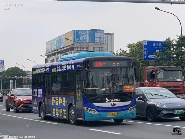 苏B W2813