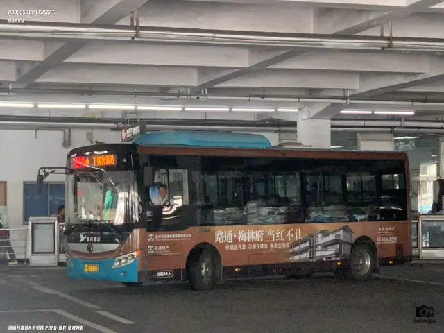 苏B T1133