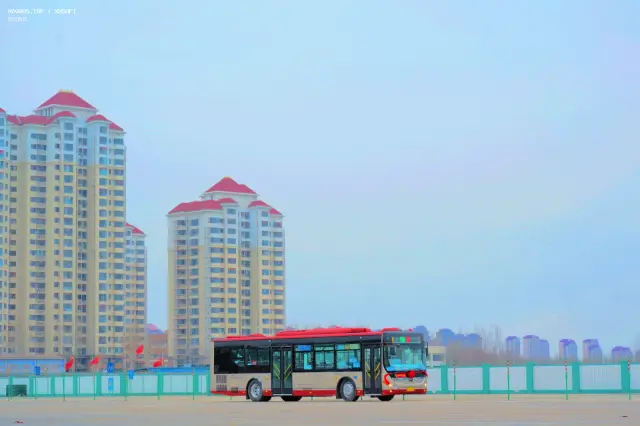 800BUS