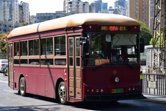 800BUS