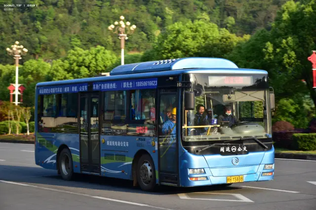 800BUS
