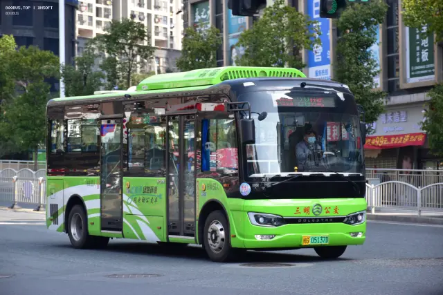 800BUS