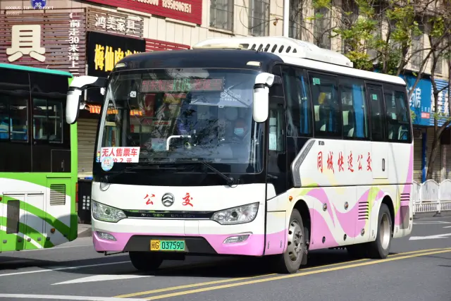 800BUS