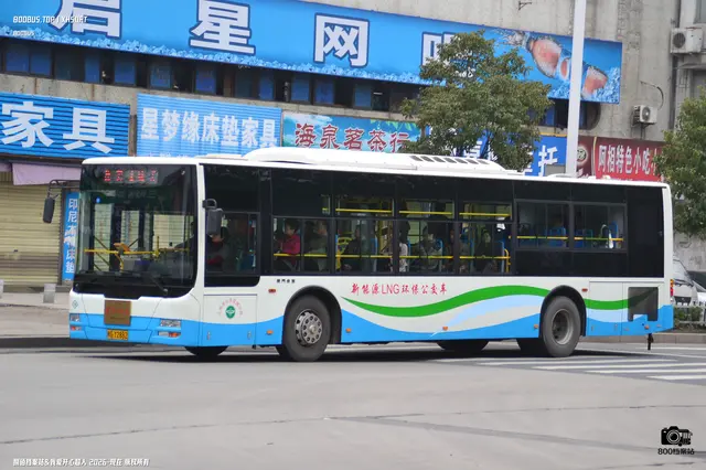 800BUS