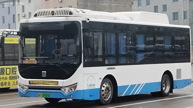 800BUS