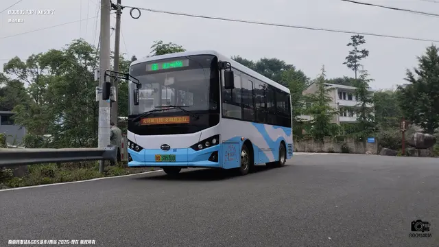 浙B 30530D