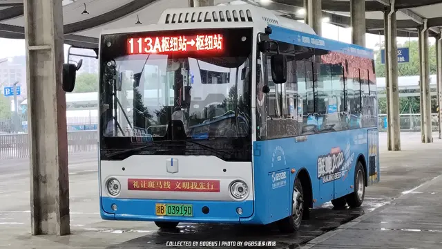 浙B 03919D