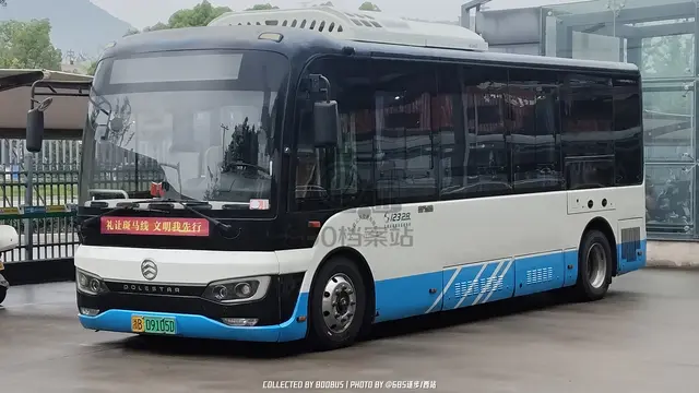 浙B 09105D