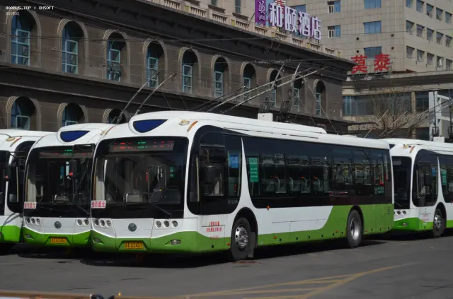 晋A A2459