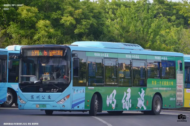 800BUS