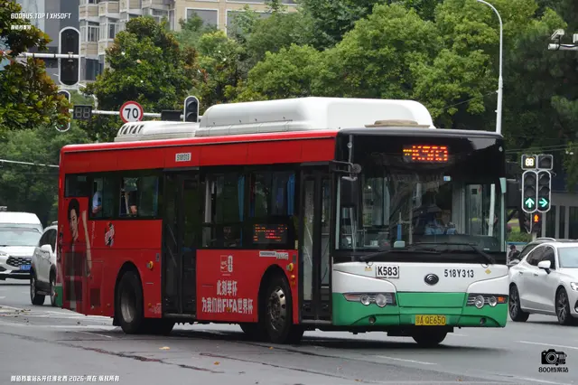 鄂A QE650