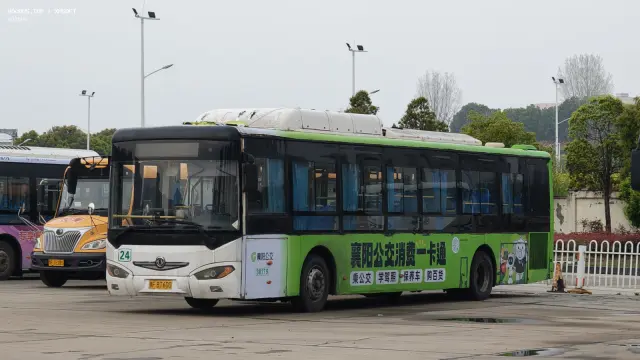 鄂F BT600